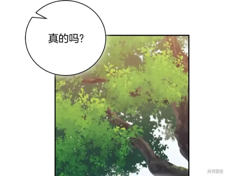 《如何拒绝前夫的执着》第55话图274
