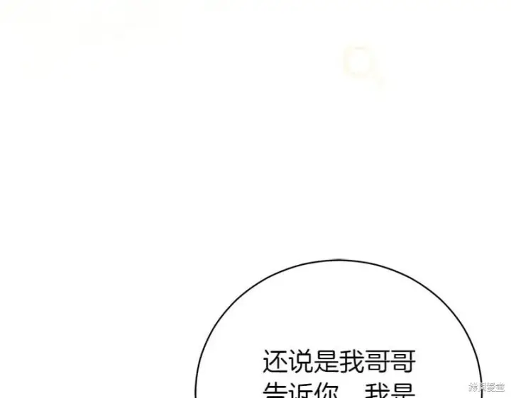 《如何拒绝前夫的执着》第50话图204