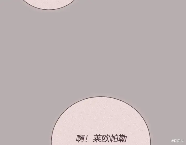 《如何拒绝前夫的执着》第51话图206