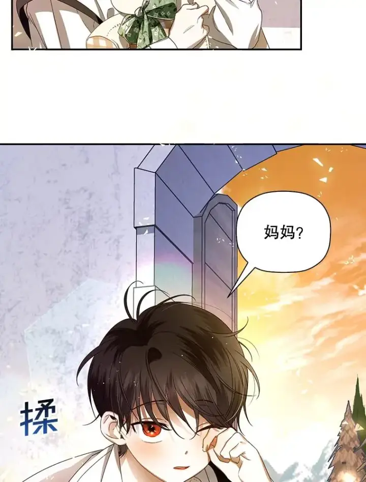 漫画《如何隐藏皇帝的孩子》1.一日皇后第82张图