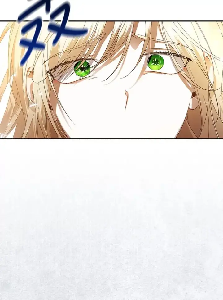 漫画《如何隐藏皇帝的孩子》2.他是谁？第18张图
