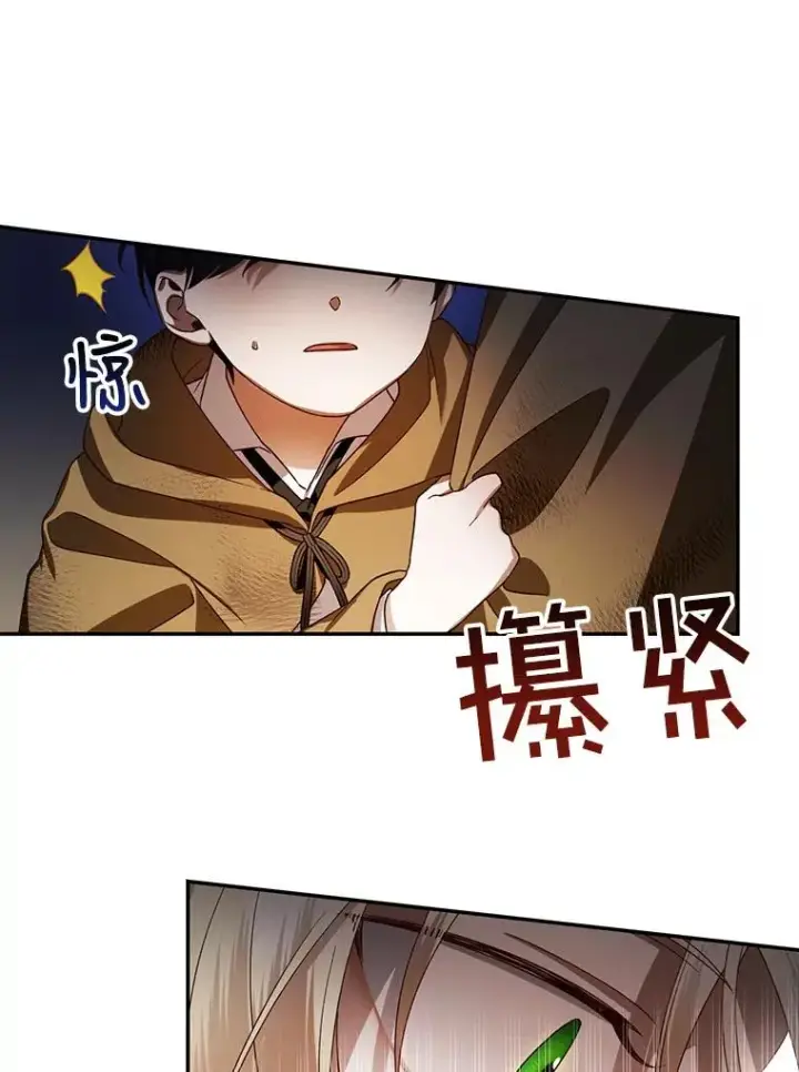 漫画《如何隐藏皇帝的孩子》2.他是谁？第30张图