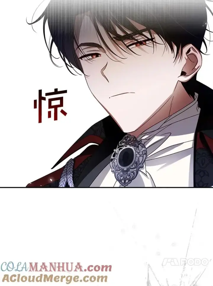 漫画《如何隐藏皇帝的孩子》2.他是谁？第34张图