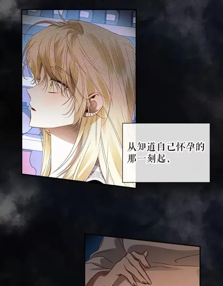 漫画《如何隐藏皇帝的孩子》2.他是谁？第48张图