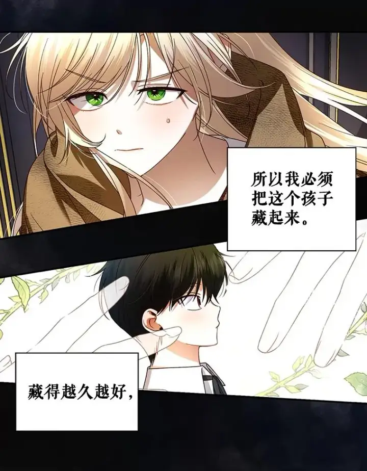 漫画《如何隐藏皇帝的孩子》2.他是谁？第53张图