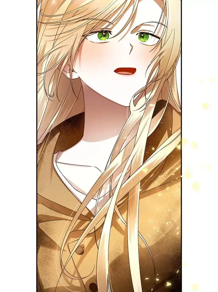 漫画《如何隐藏皇帝的孩子》2.他是谁？第56张图