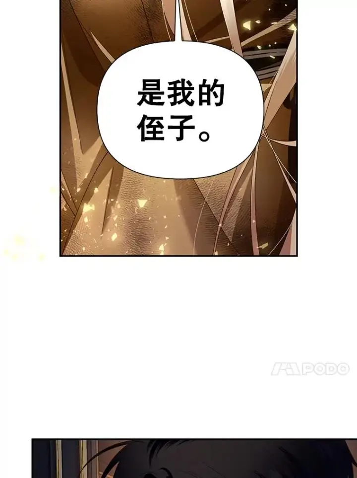漫画《如何隐藏皇帝的孩子》2.他是谁？第57张图