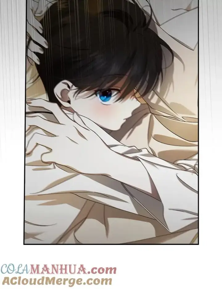 漫画《如何隐藏皇帝的孩子》2.他是谁？第73张图