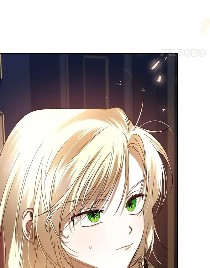 漫画《如何隐藏皇帝的孩子》2.他是谁？第74张图