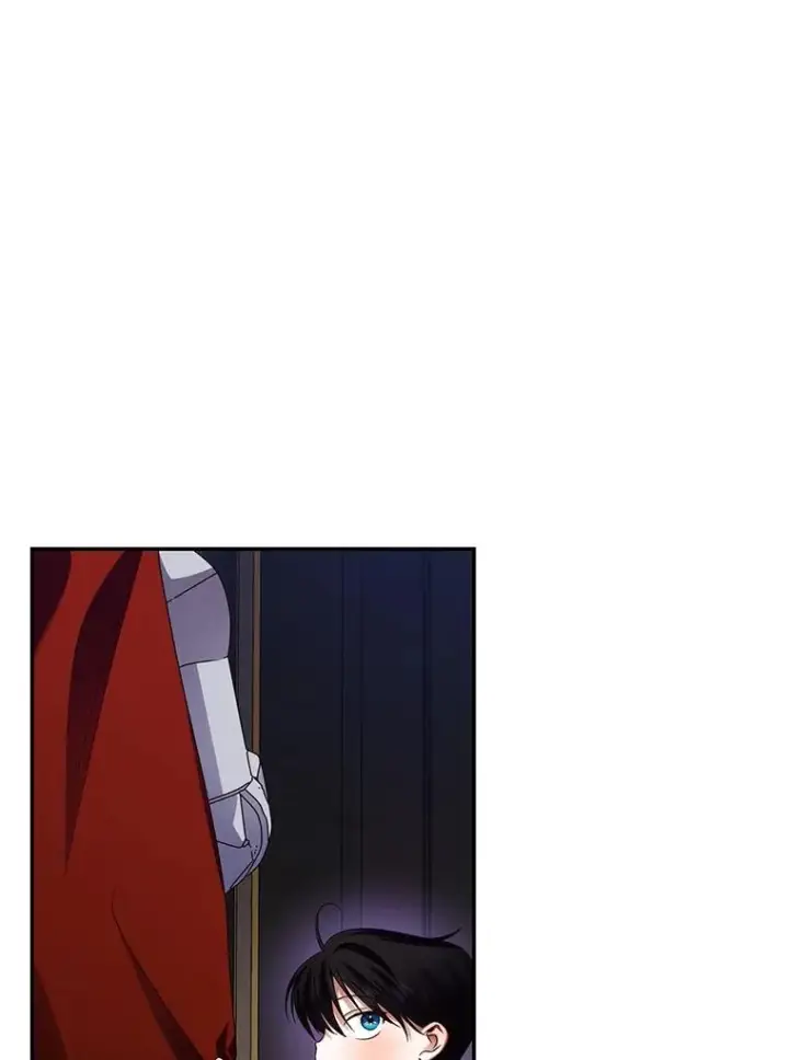 漫画《如何隐藏皇帝的孩子》3.见面的目的第45张图