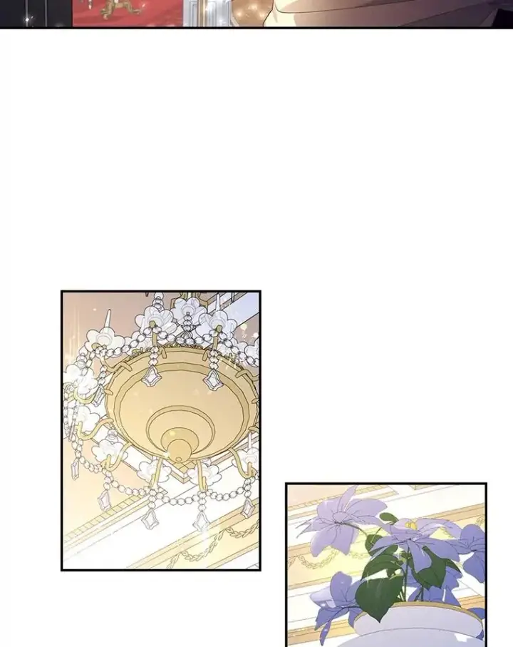 漫画《如何隐藏皇帝的孩子》5.博弈第47张图