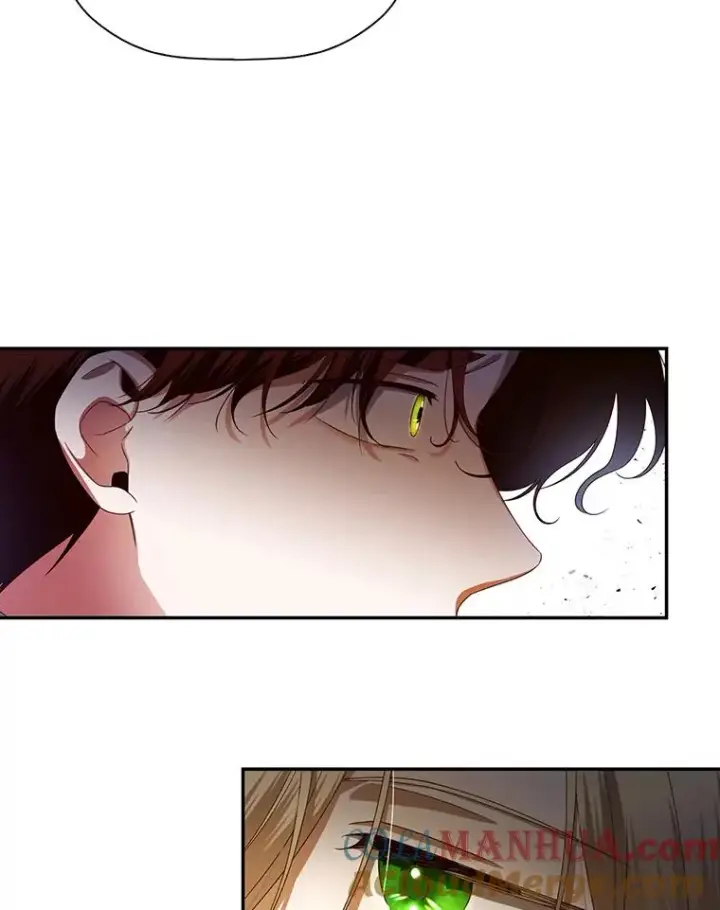 漫画《如何隐藏皇帝的孩子》6.闲言碎语第13张图