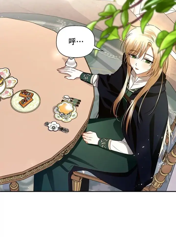 漫画《如何隐藏皇帝的孩子》6.闲言碎语第33张图