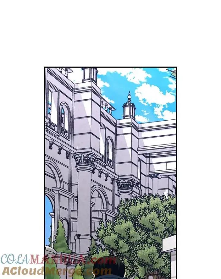 漫画《如何隐藏皇帝的孩子》6.闲言碎语第34张图