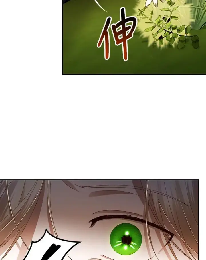 漫画《如何隐藏皇帝的孩子》6.闲言碎语第36张图