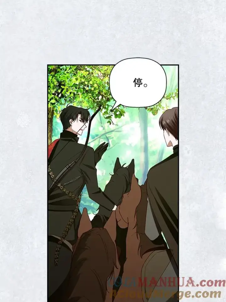 漫画《如何隐藏皇帝的孩子》8.狩猎大会第52张图