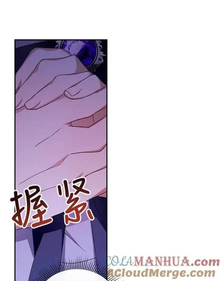 漫画《如何隐藏皇帝的孩子》11.幕后主使第29张图