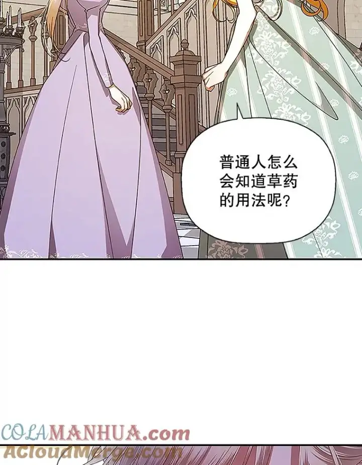漫画《如何隐藏皇帝的孩子》12.指控与反指控第29张图