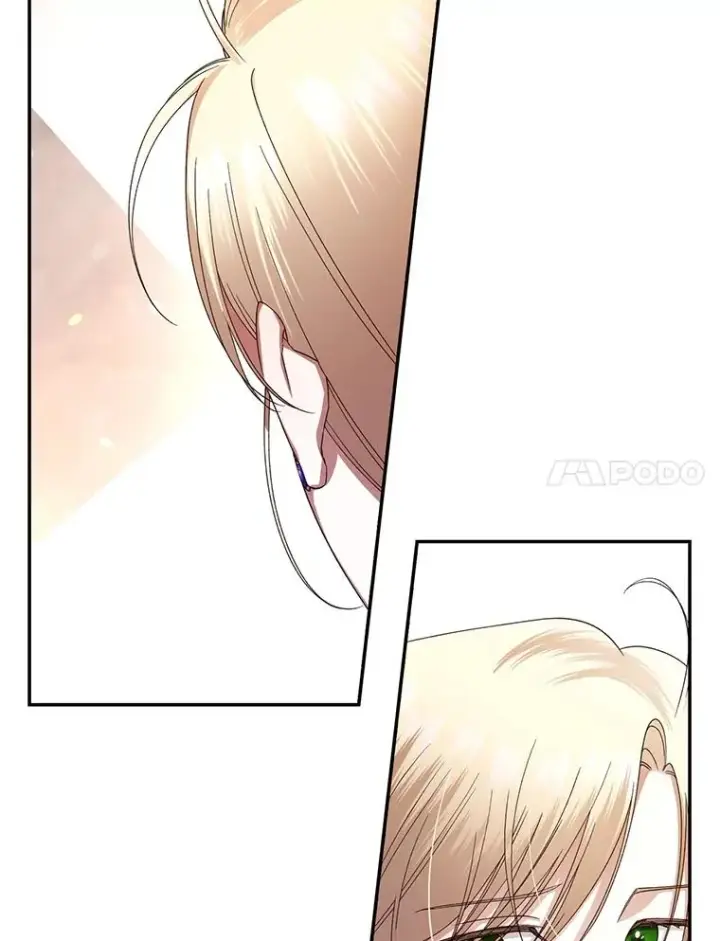 漫画《如何隐藏皇帝的孩子》12.指控与反指控第64张图