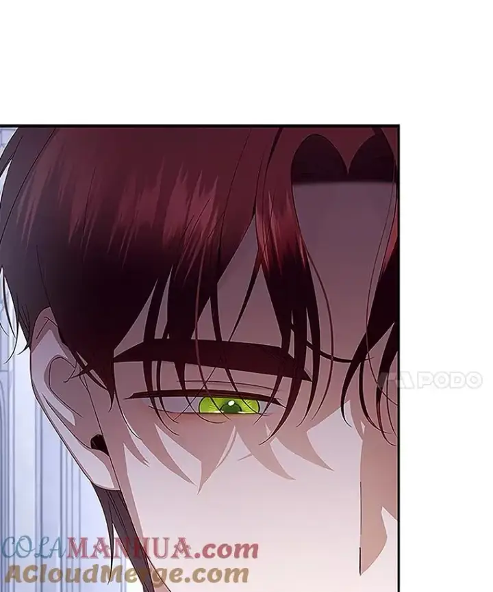 漫画《如何隐藏皇帝的孩子》12.指控与反指控第93张图