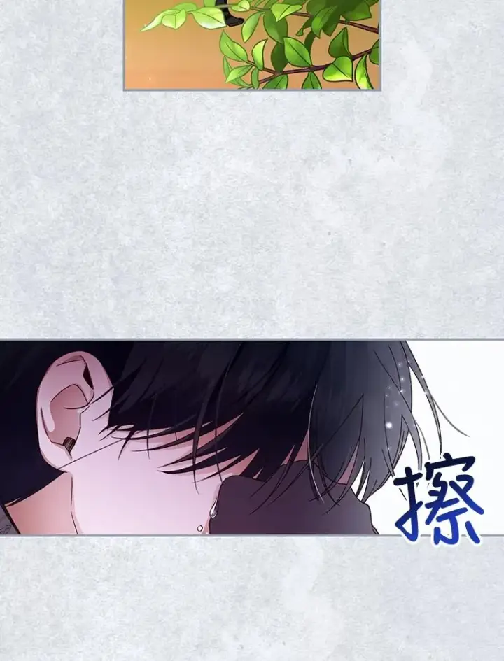 漫画《如何隐藏皇帝的孩子》14.晴天霹雳第12张图