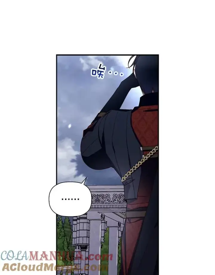 漫画《如何隐藏皇帝的孩子》14.晴天霹雳第28张图