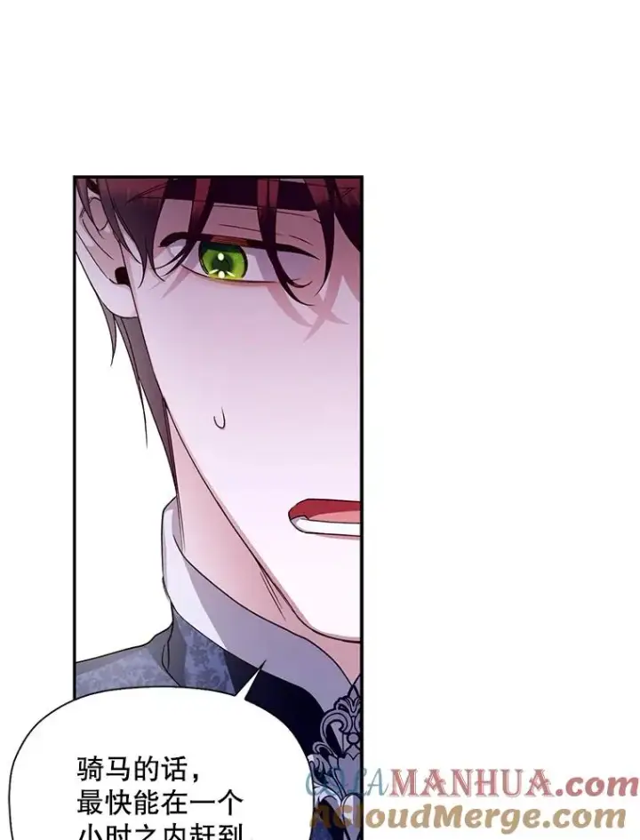 漫画《如何隐藏皇帝的孩子》14.晴天霹雳第70张图