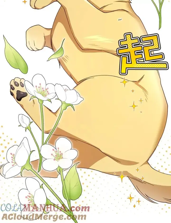 漫画《如何隐藏皇帝的孩子》15.父子独处第79张图