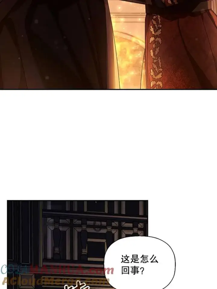 漫画《如何隐藏皇帝的孩子》17.心生疑惑第13张图