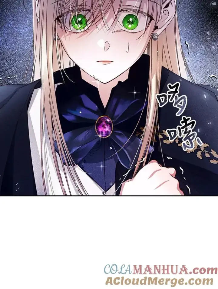 漫画《如何隐藏皇帝的孩子》17.心生疑惑第25张图
