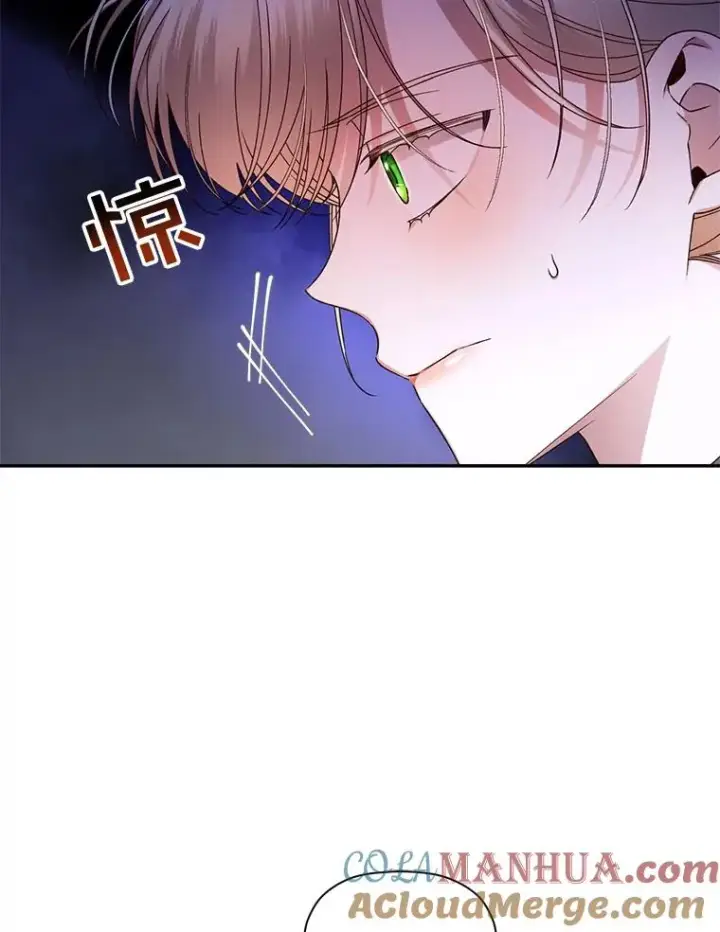 漫画《如何隐藏皇帝的孩子》19.奇怪的侍女第31张图