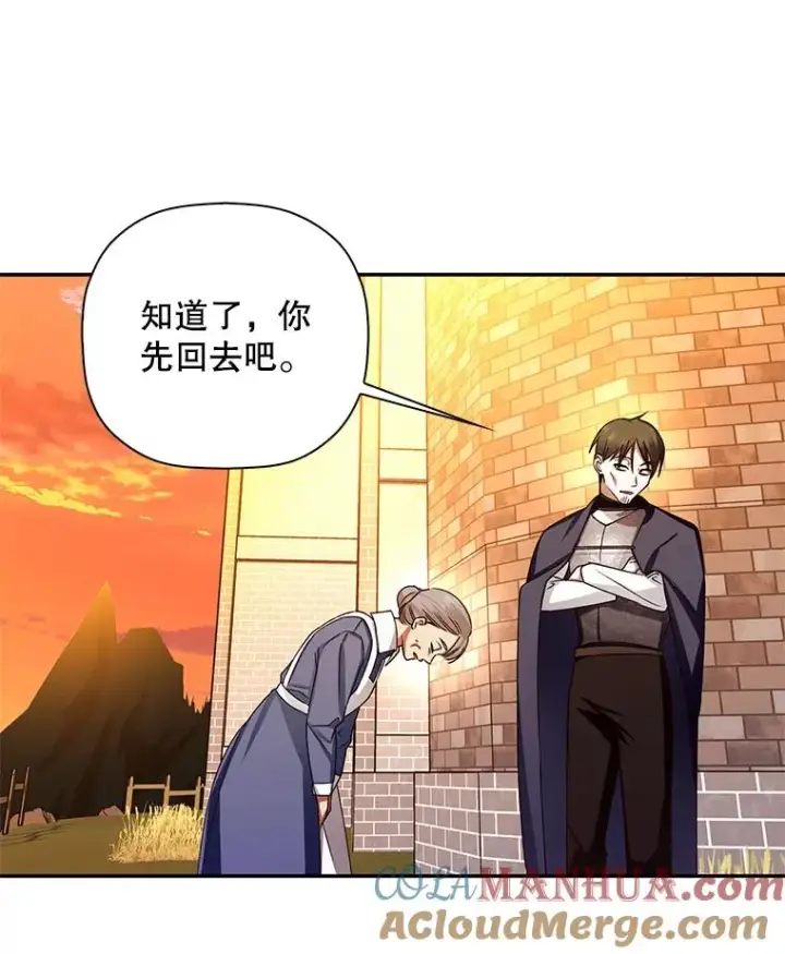 漫画《如何隐藏皇帝的孩子》19.奇怪的侍女第52张图