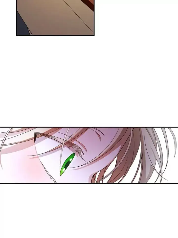 漫画《如何隐藏皇帝的孩子》20.为什么我不行？第35张图