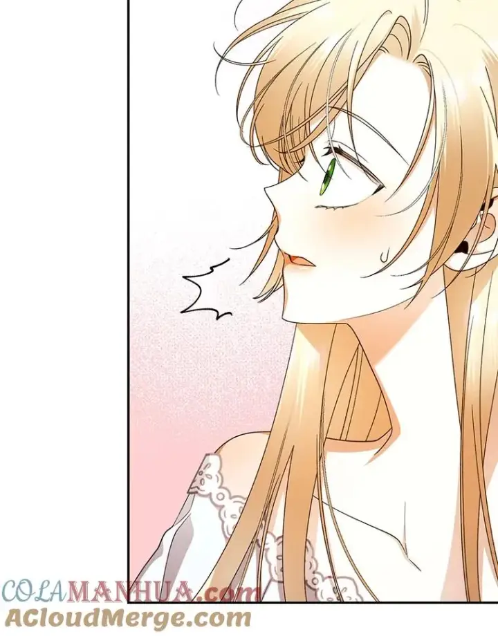 漫画《如何隐藏皇帝的孩子》20.为什么我不行？第77张图
