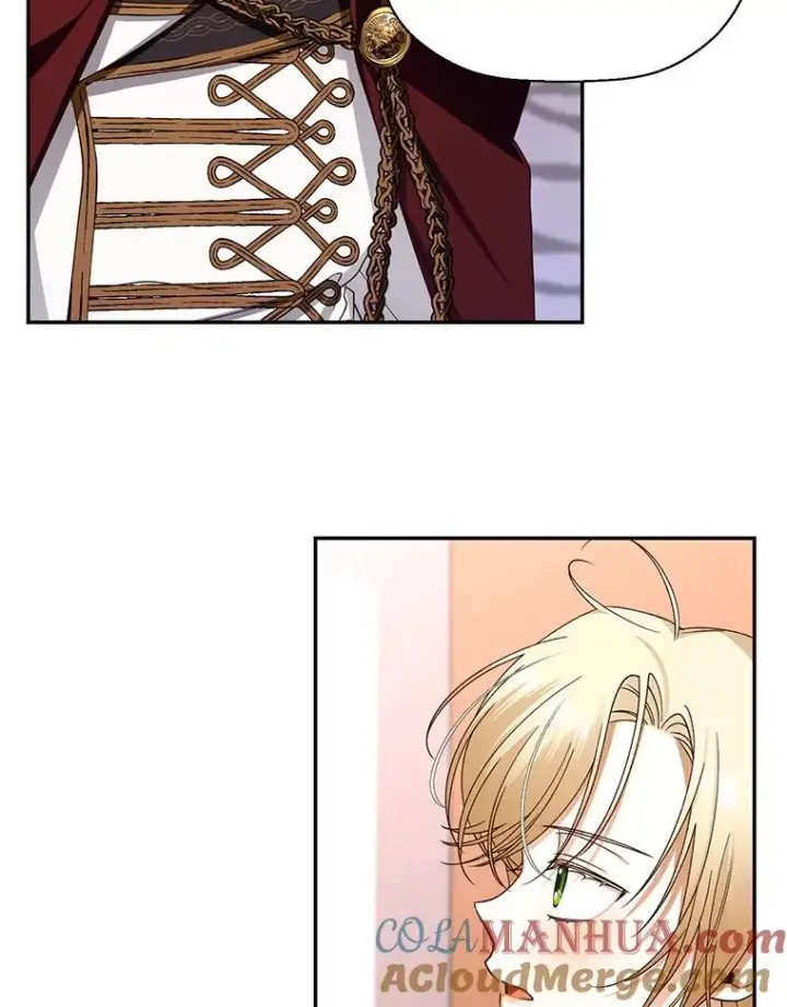 漫画《如何隐藏皇帝的孩子》21.将计就计第17张图