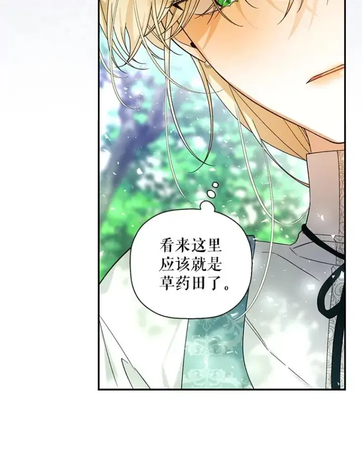 漫画《如何隐藏皇帝的孩子》21.将计就计第54张图