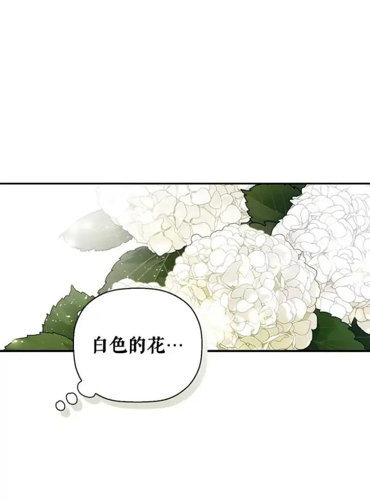 漫画《如何隐藏皇帝的孩子》22.采草药第12张图