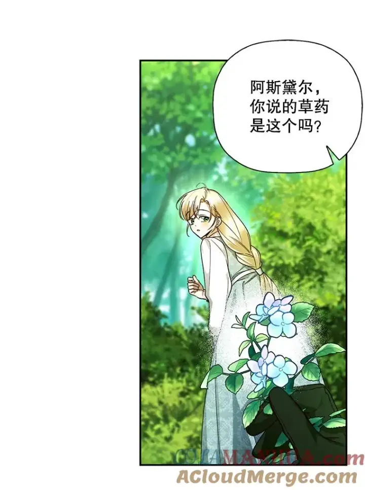 漫画《如何隐藏皇帝的孩子》22.采草药第25张图