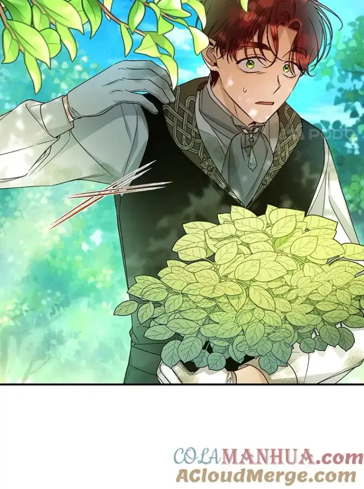 漫画《如何隐藏皇帝的孩子》22.采草药第34张图