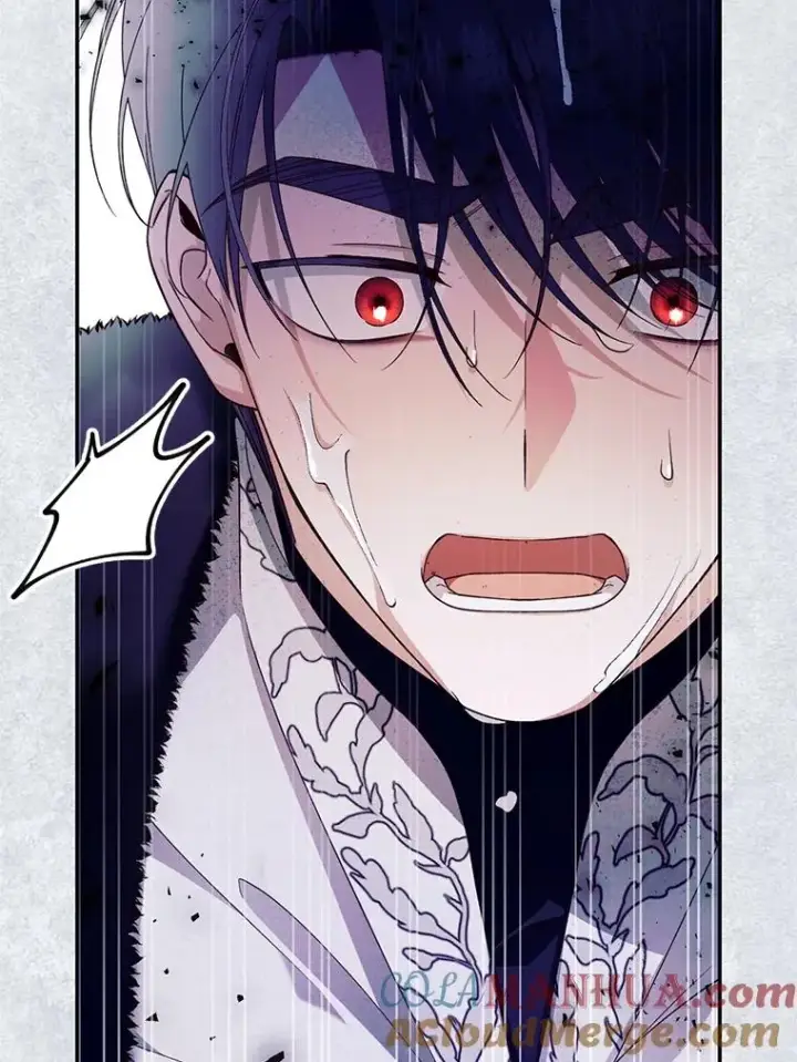 漫画《如何隐藏皇帝的孩子》22.采草药第91张图