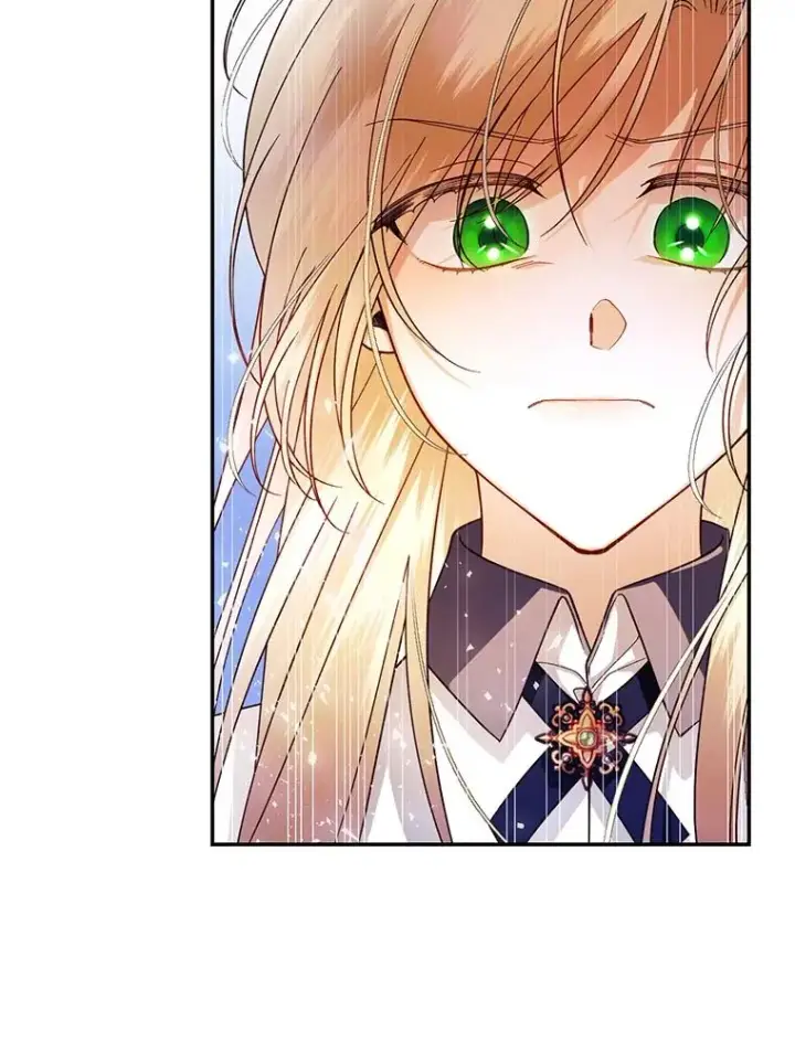 漫画《如何隐藏皇帝的孩子》27.一家三口第27张图