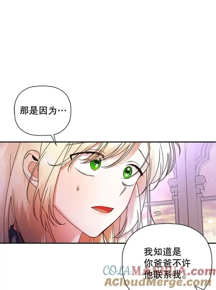 漫画《如何隐藏皇帝的孩子》28.陛下喜欢你吗？第25张图
