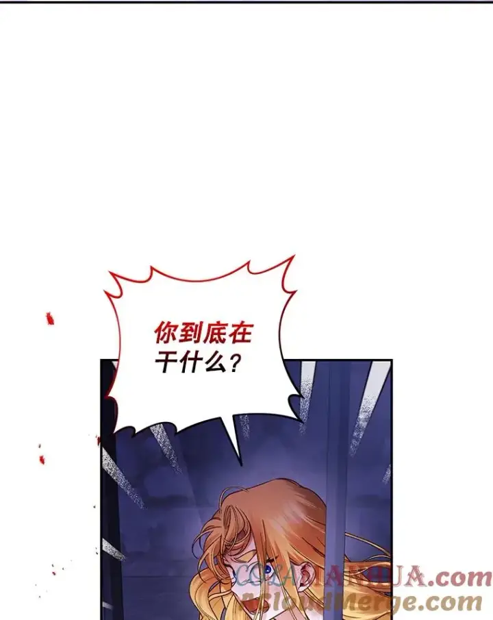 漫画《如何隐藏皇帝的孩子》28.陛下喜欢你吗？第69张图