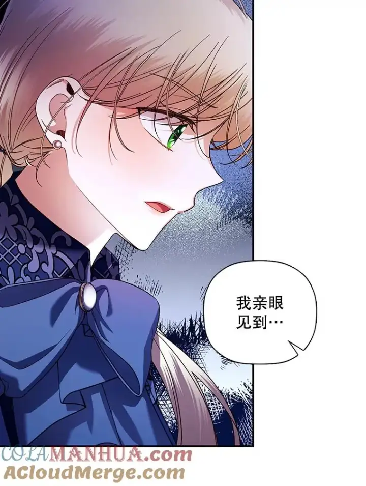 漫画《如何隐藏皇帝的孩子》30.九死一生第5张图