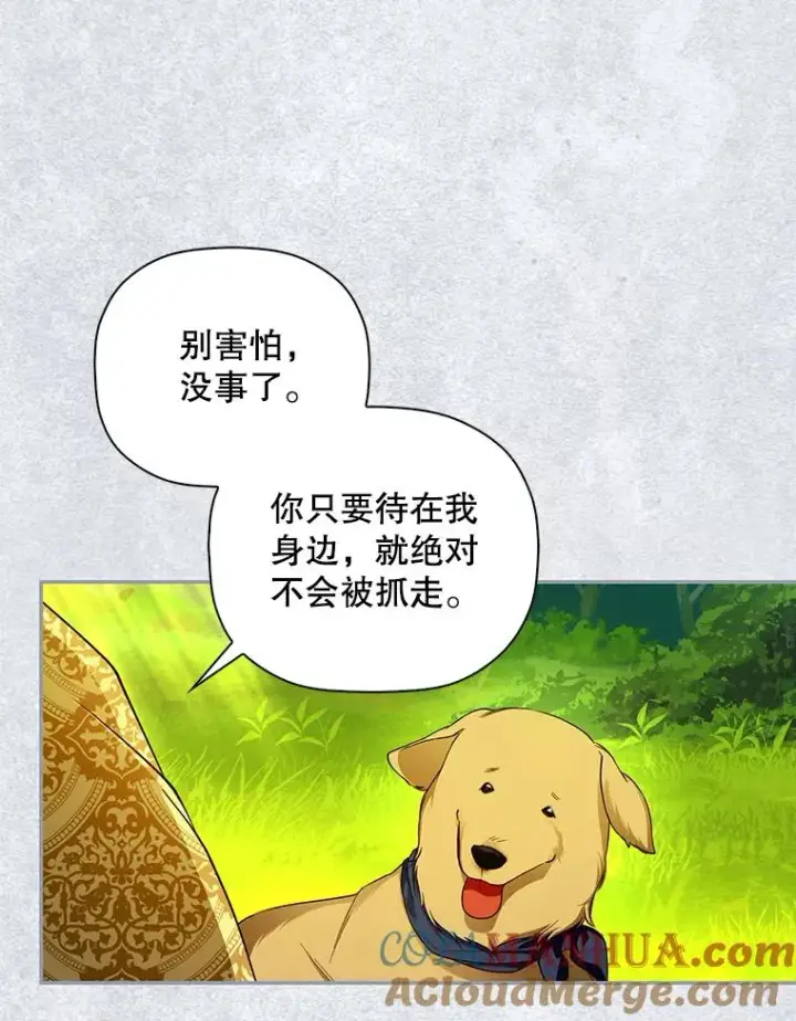 漫画《如何隐藏皇帝的孩子》31.找出绑匪第13张图