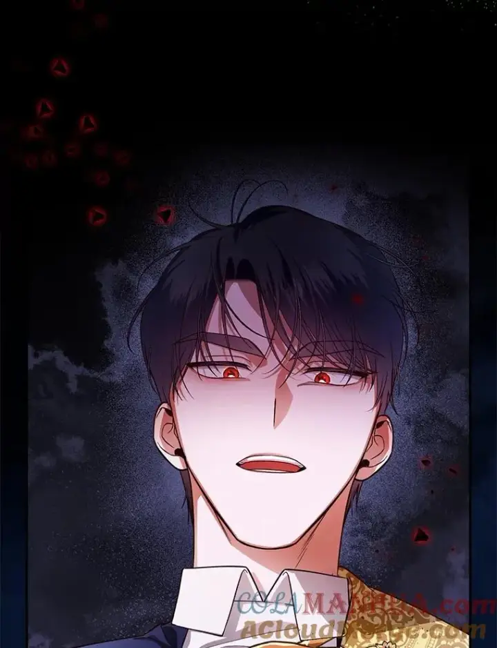 漫画《如何隐藏皇帝的孩子》31.找出绑匪第88张图