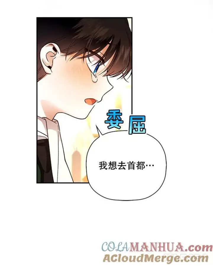 漫画《如何隐藏皇帝的孩子》37.野餐第49张图