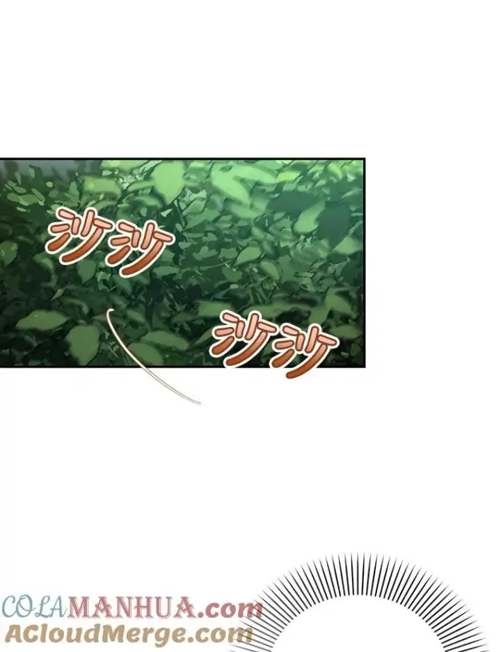 《如何隐藏皇帝的孩子》38.雨中相遇图49
