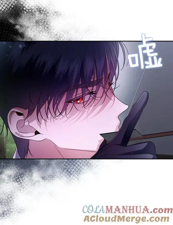 《如何隐藏皇帝的孩子》38.雨中相遇图52
