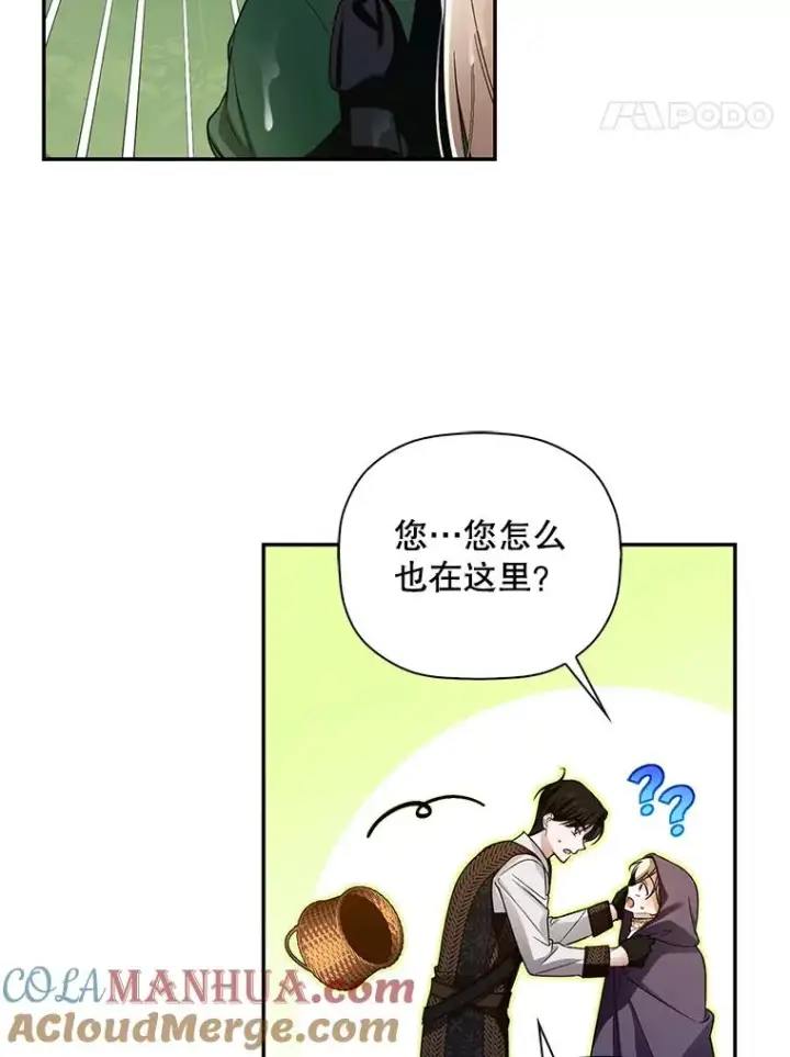 《如何隐藏皇帝的孩子》38.雨中相遇图61